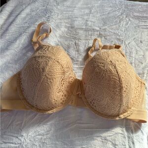 Lively Lace Tan Bra